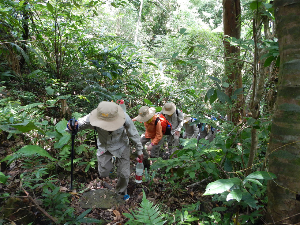 海南熱帶原始雨林穿越